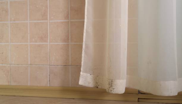 Best Indoor Air Quality Assessment  in Dunean, SC