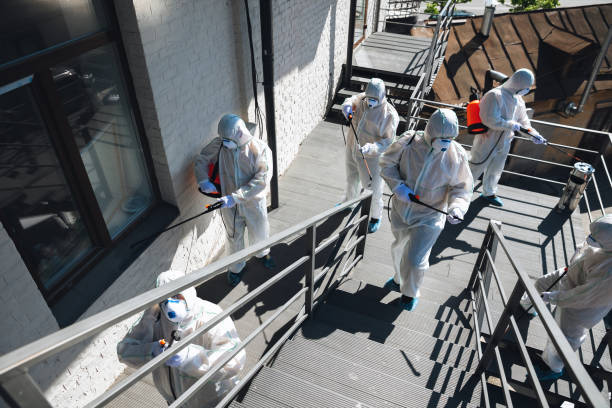 Best Forensic Mold Investigation  in Dunean, SC