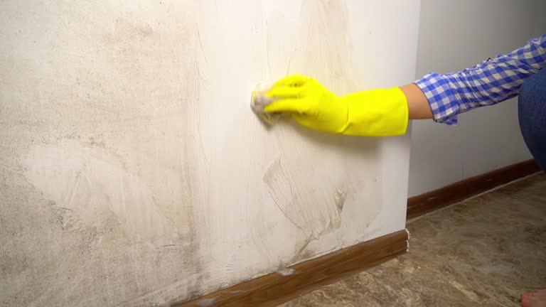 Best Attic Mold Removal  in Dunean, SC