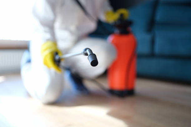 Best Emergency Mold Remediation  in Dunean, SC