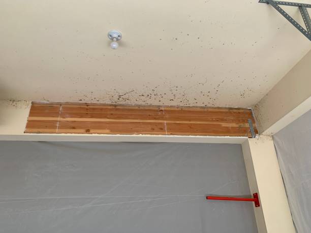 Best Air Quality Testing for Mold Spores  in Dunean, SC