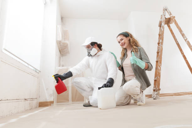 Best Real Estate Mold Inspection  in Dunean, SC