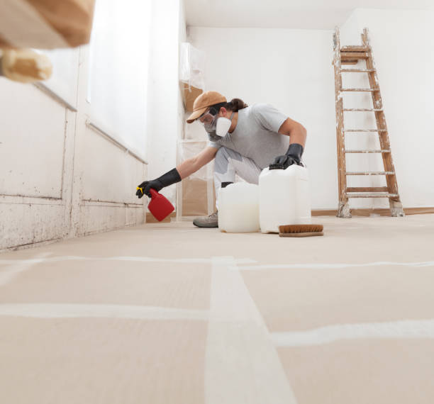 Best Biohazard Mold Removal  in Dunean, SC